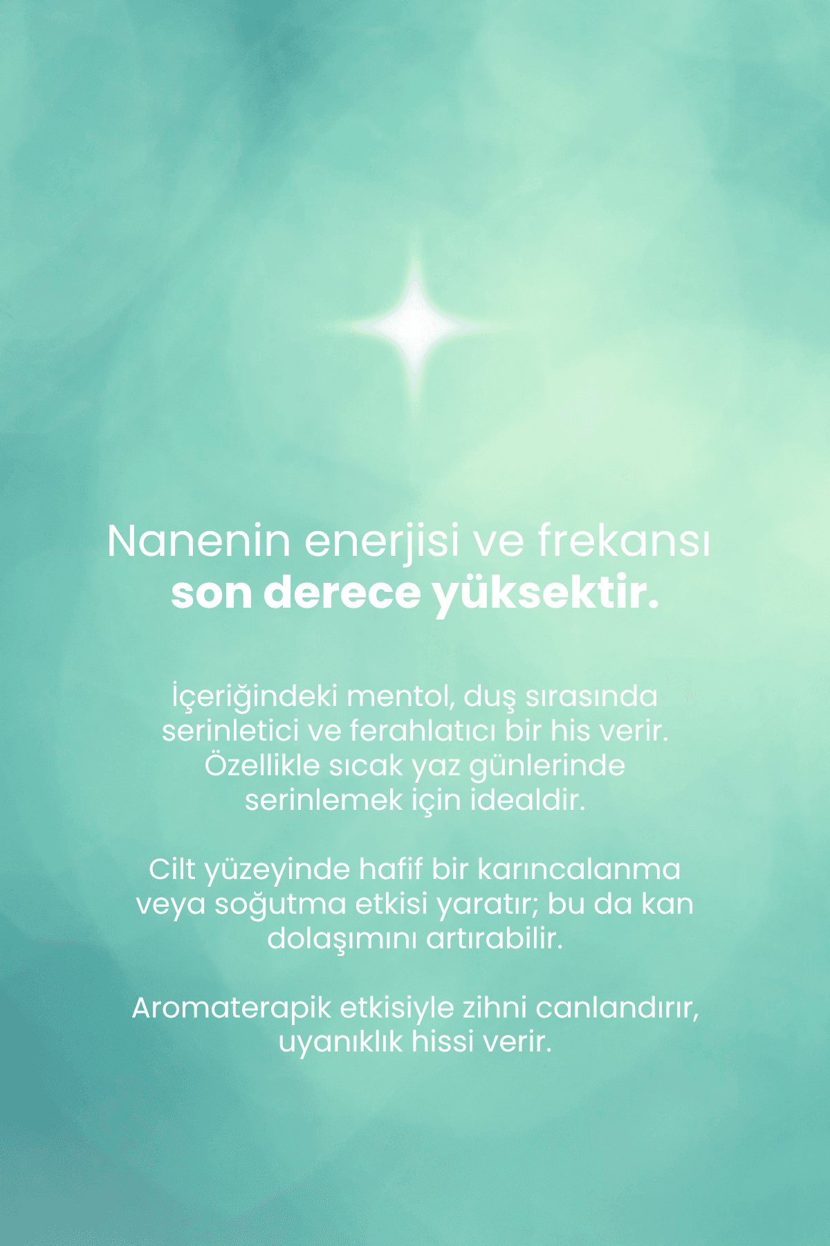 TTO CLINIC Duş Jeli – Mentol Tazeliği 500 ML