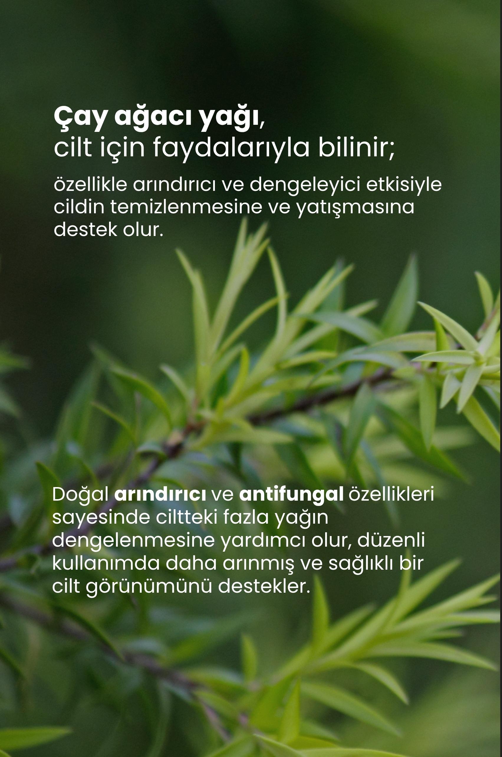 TTO Saf Ve Doğal Çay Ağacı Yağ Tea Tree Oil