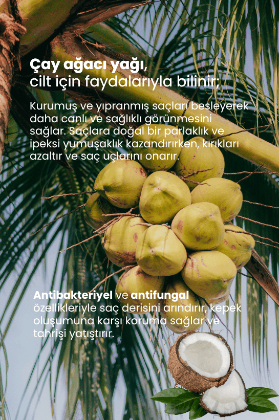 TTO Hindistan Cevizi Yağı