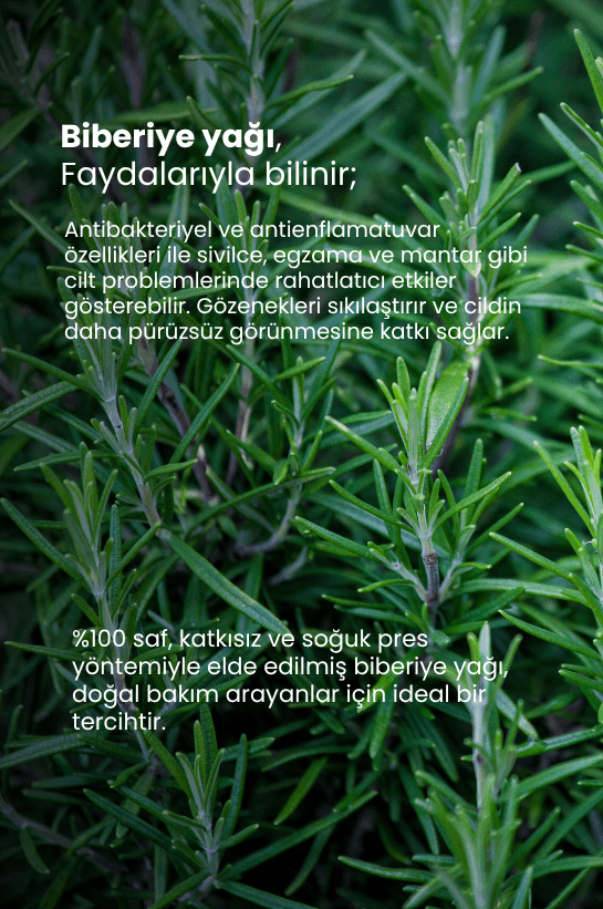 TTO Biberiye Yağı