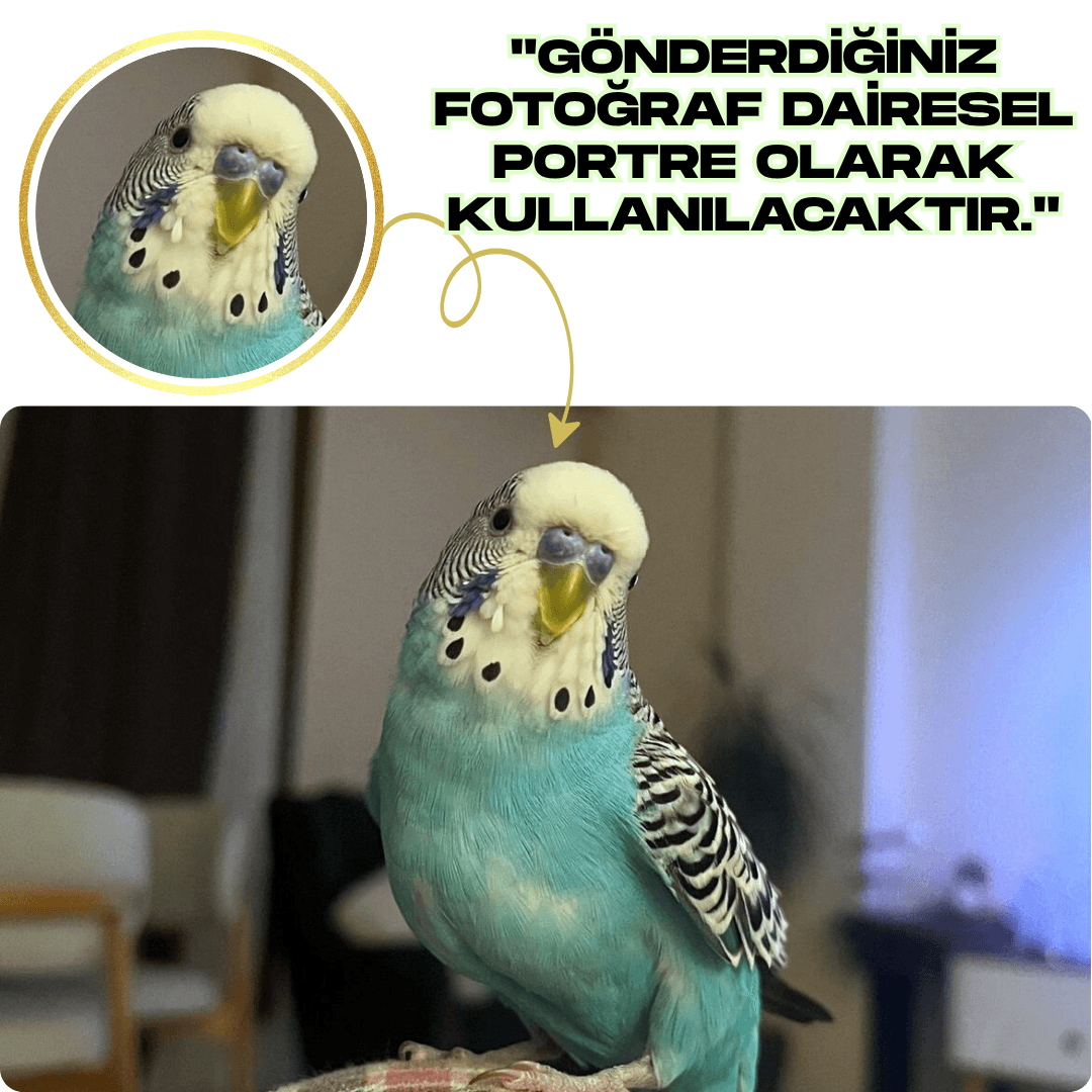 Kişiye Özel Evcil Hayvan Portre Bilekliği – Sevgini Üzerinde Taşı