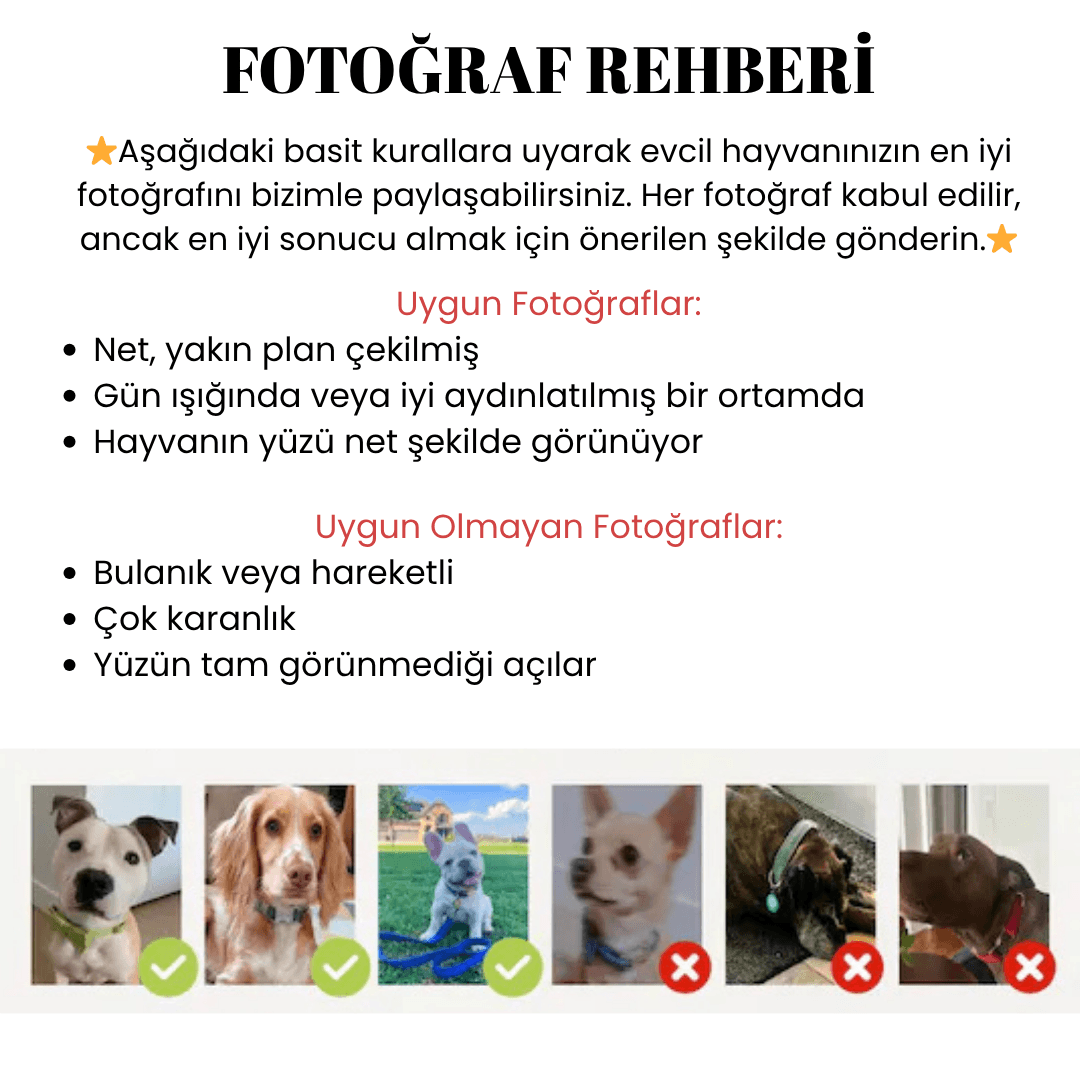 Kişiye Özel Evcil Hayvan Portre Bilekliği – Sevgini Üzerinde Taşı
