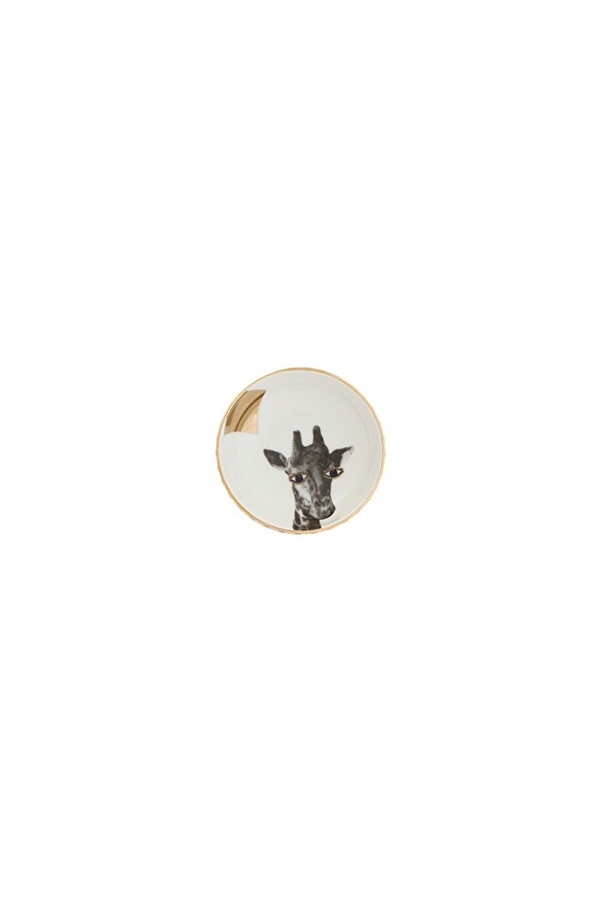 Wild Life 4 Lü Kase Takımı 10 Cm