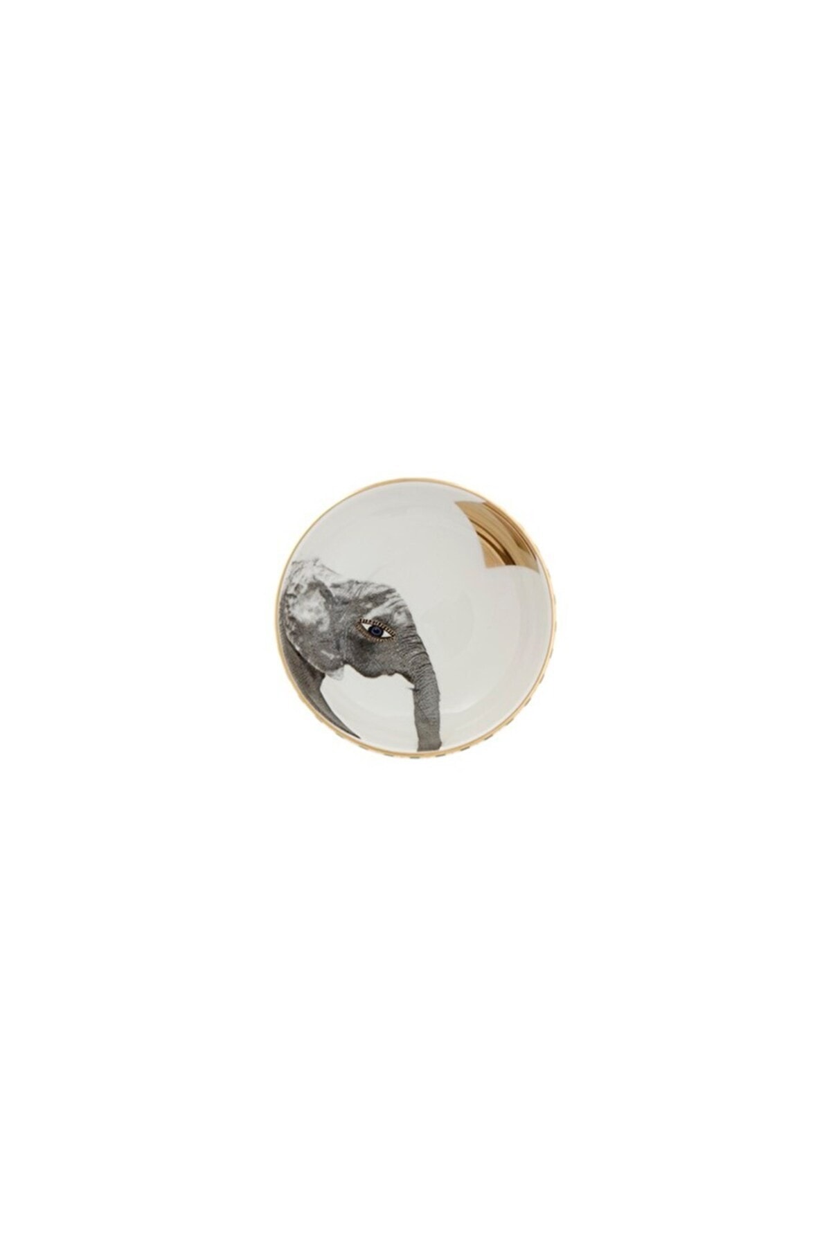 Wild Life 4 Lü Kase Takımı 10 Cm