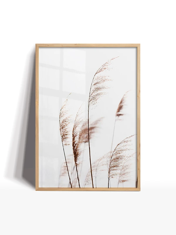 Doğanın Beyazı Temalı Set Çerçeveli Tablo