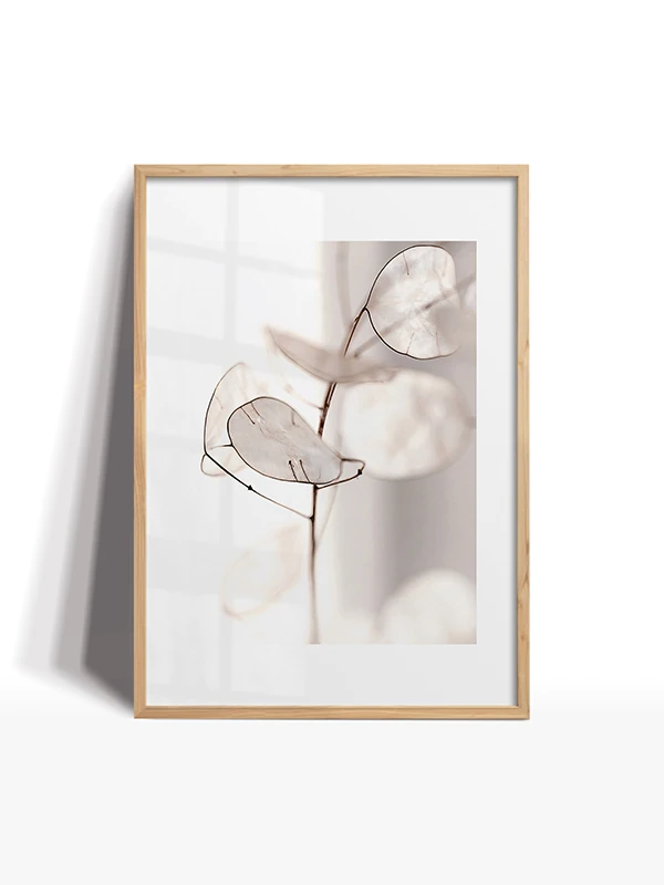 Doğanın Beyazı Temalı Set Çerçeveli Tablo