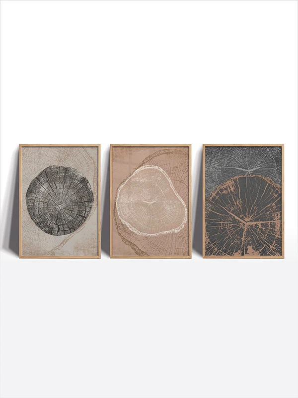 Krater Temalı 3'lü Çerçeveli Tablo