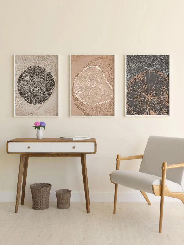 Krater Temalı 3'lü Çerçeveli Tablo