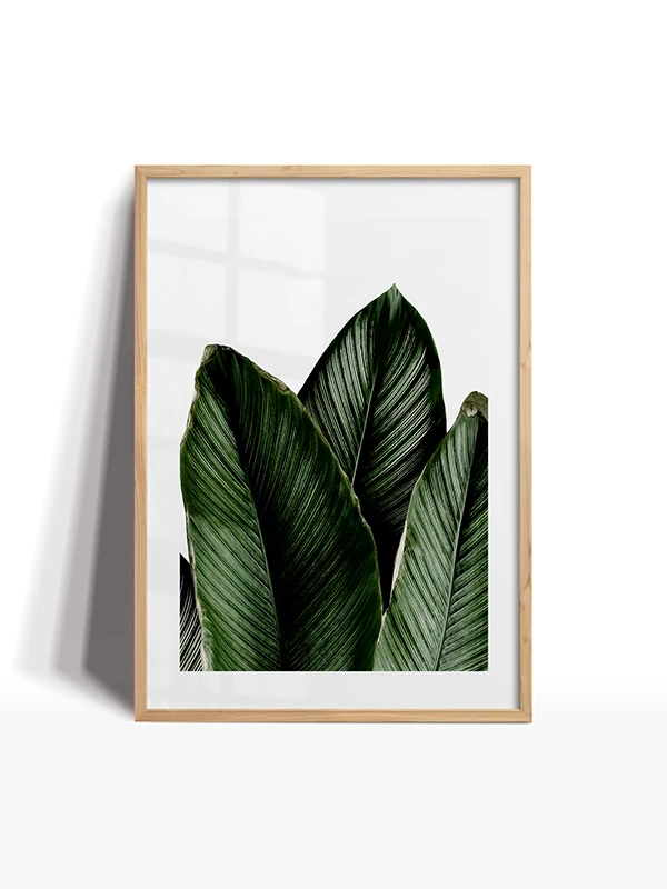 Dekor  Set Çerçeveli Tablo