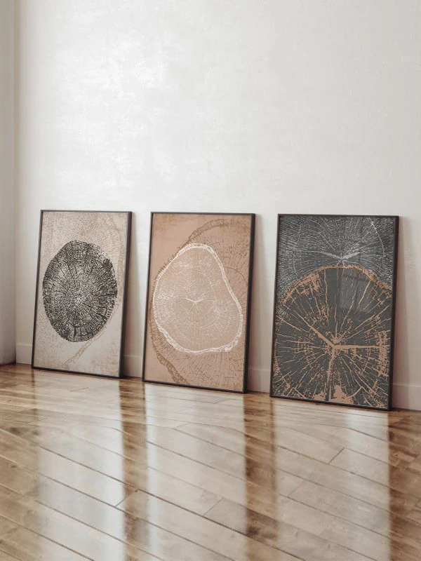 Krater Temalı 3'lü Çerçeveli Tablo