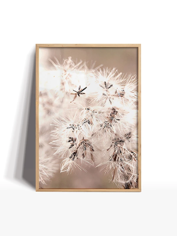 Doğanın Beyazı Temalı Set Çerçeveli Tablo