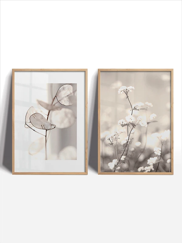 Beyazın Asilliği Temalı 2'li Çerçeveli Tablo