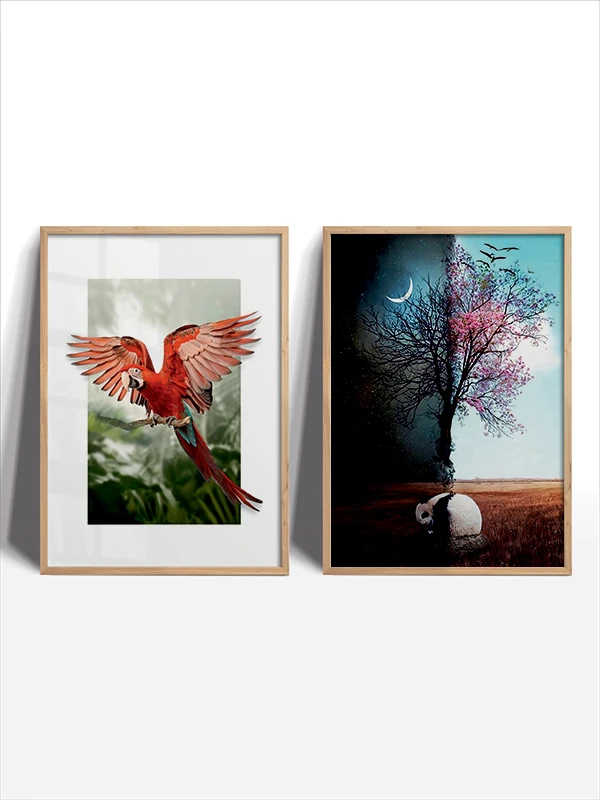 Hayvanların Aurası Temalı 2'li Çerçeveli Tablo