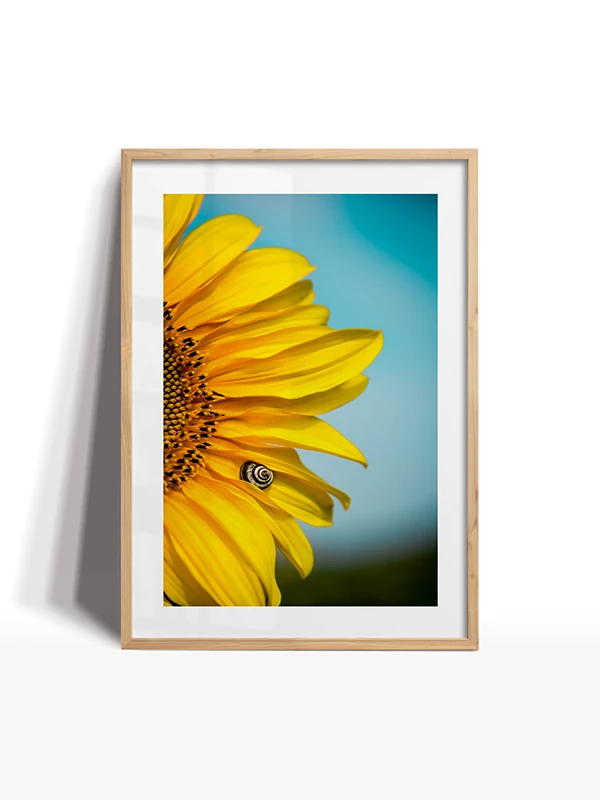 Dekor  Set Çerçeveli Tablo