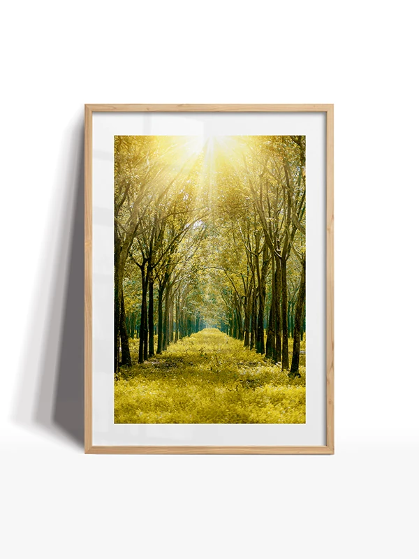 Dekor  Set Çerçeveli Tablo