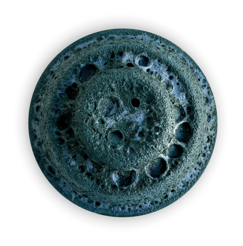 Krater Moss