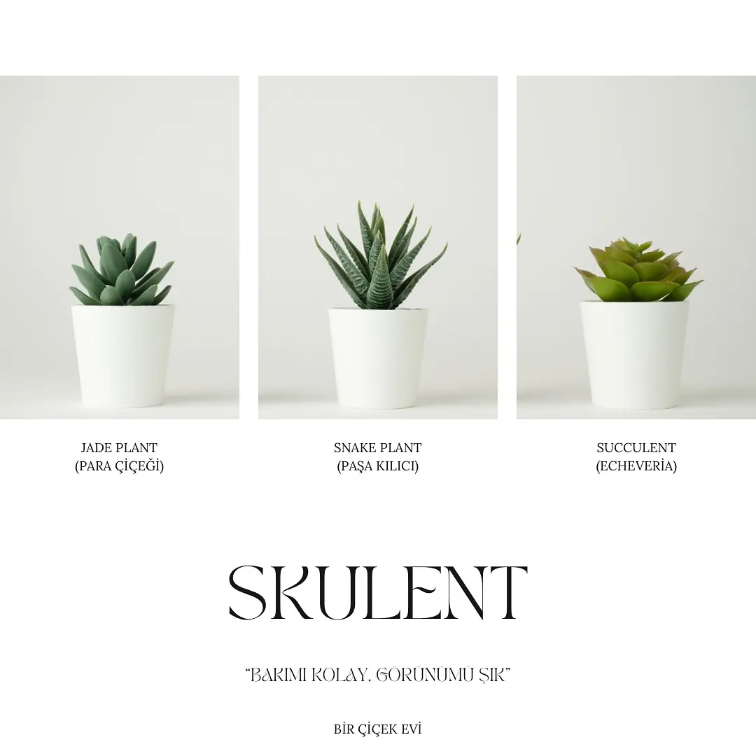 Instagram gönderisi açıklaması...