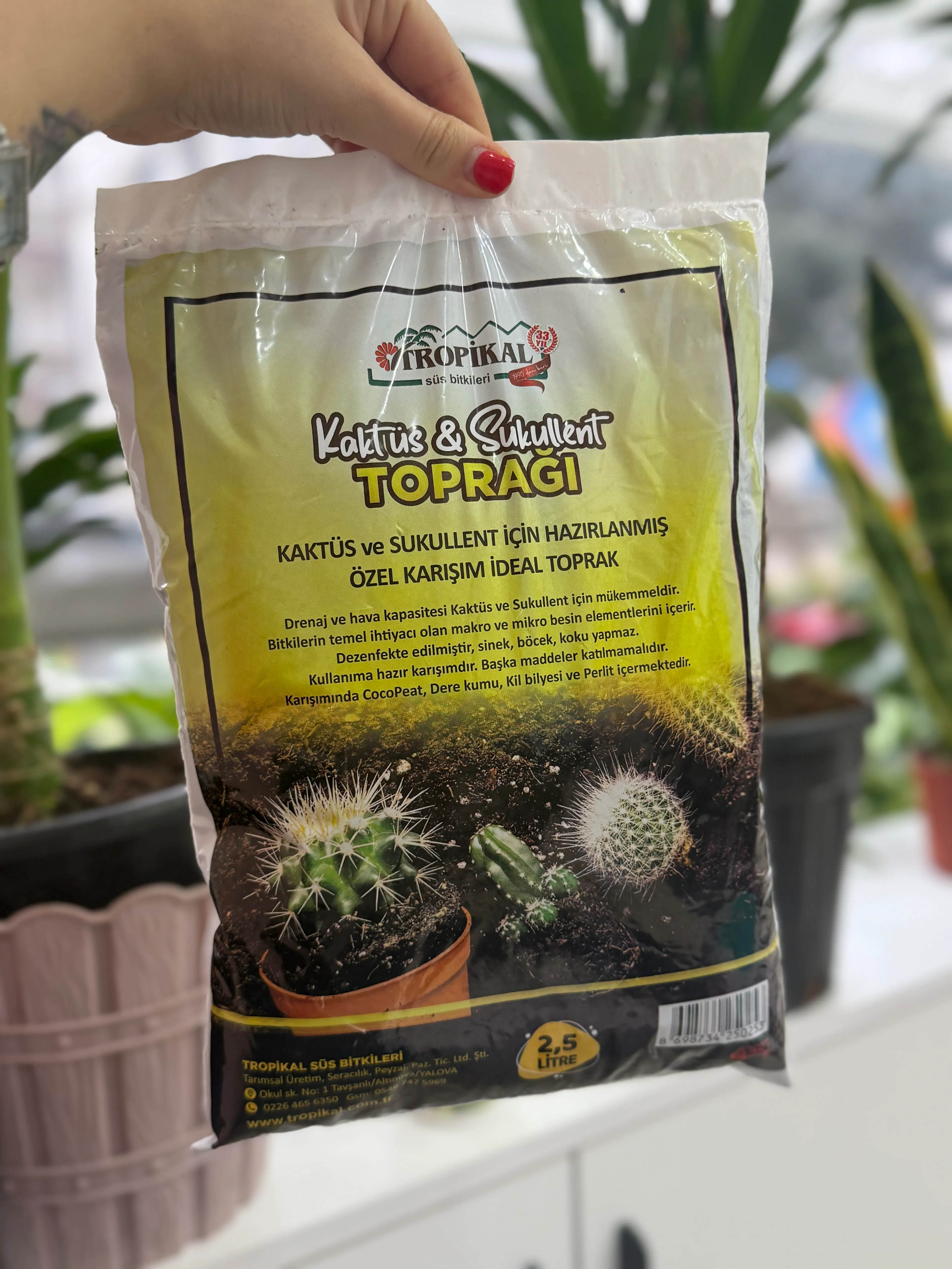 Kakts ve Skulent topra (2.5 litre)
