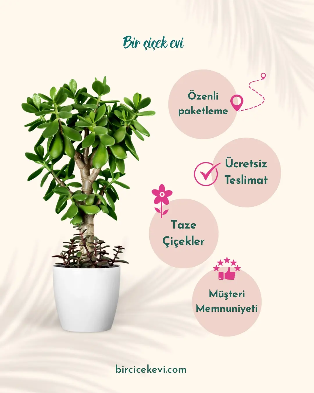 Instagram gönderisi açıklaması...