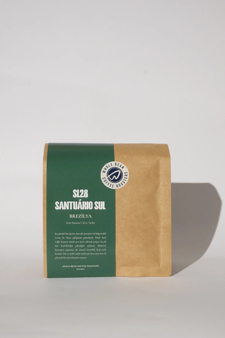 BREZİLYA SL28 SANTUARIO SUL