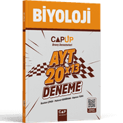 Çap
