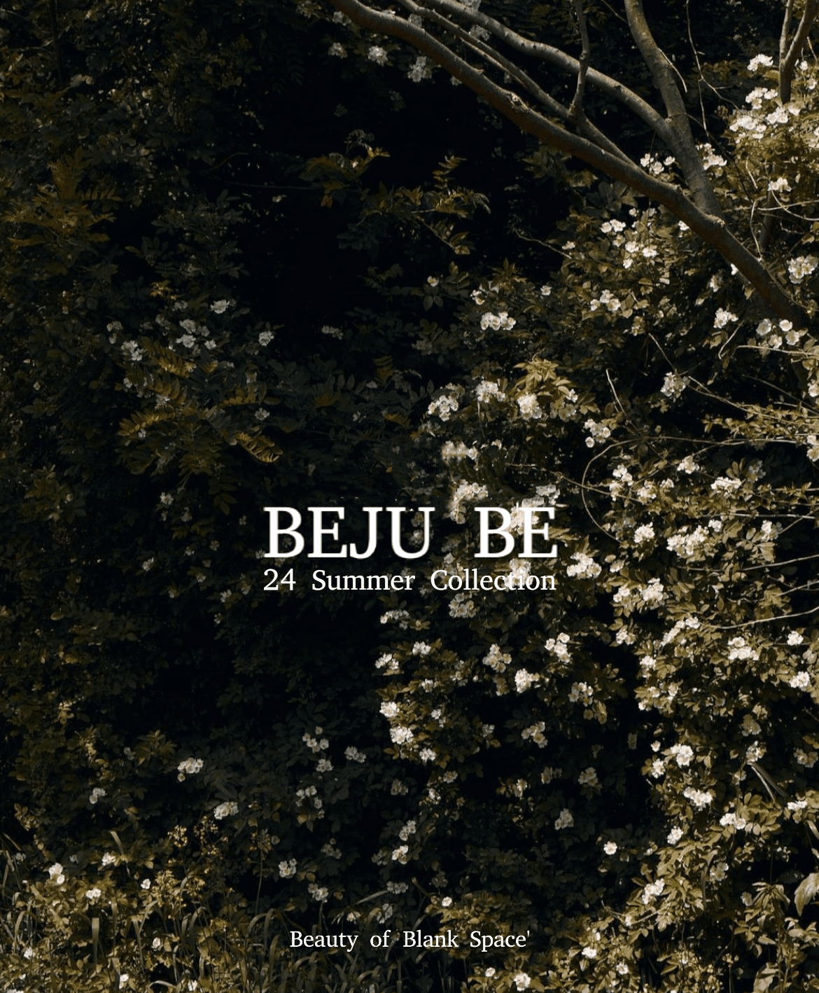 Beauty of Blank Space