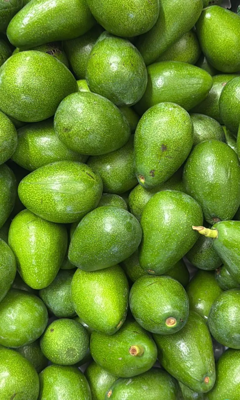 Avokado