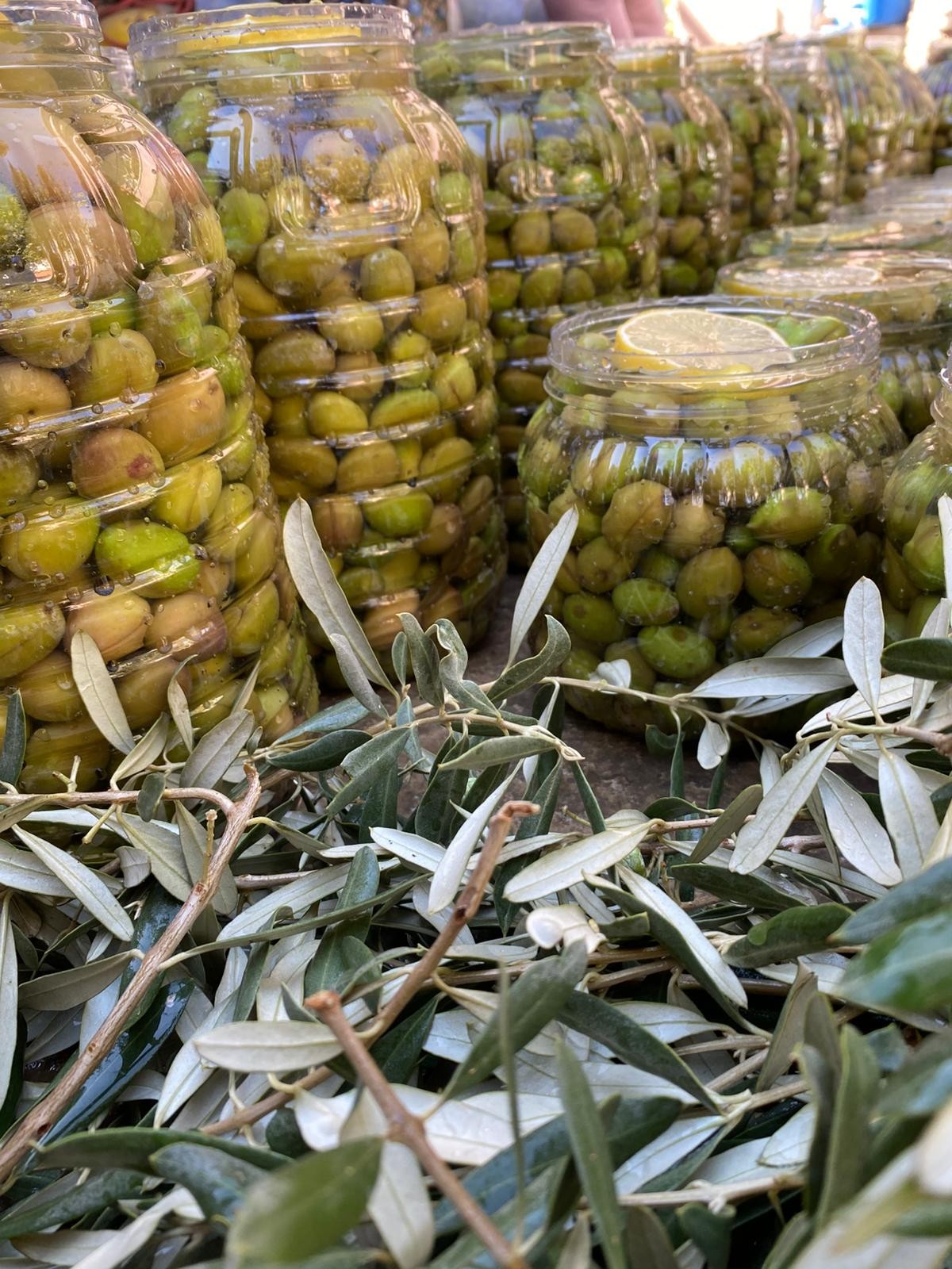 Yeşil Dilme Zeytin