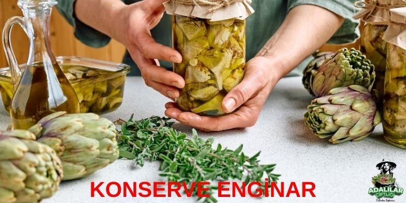 Konserve Enginar Hakkında Her Şey