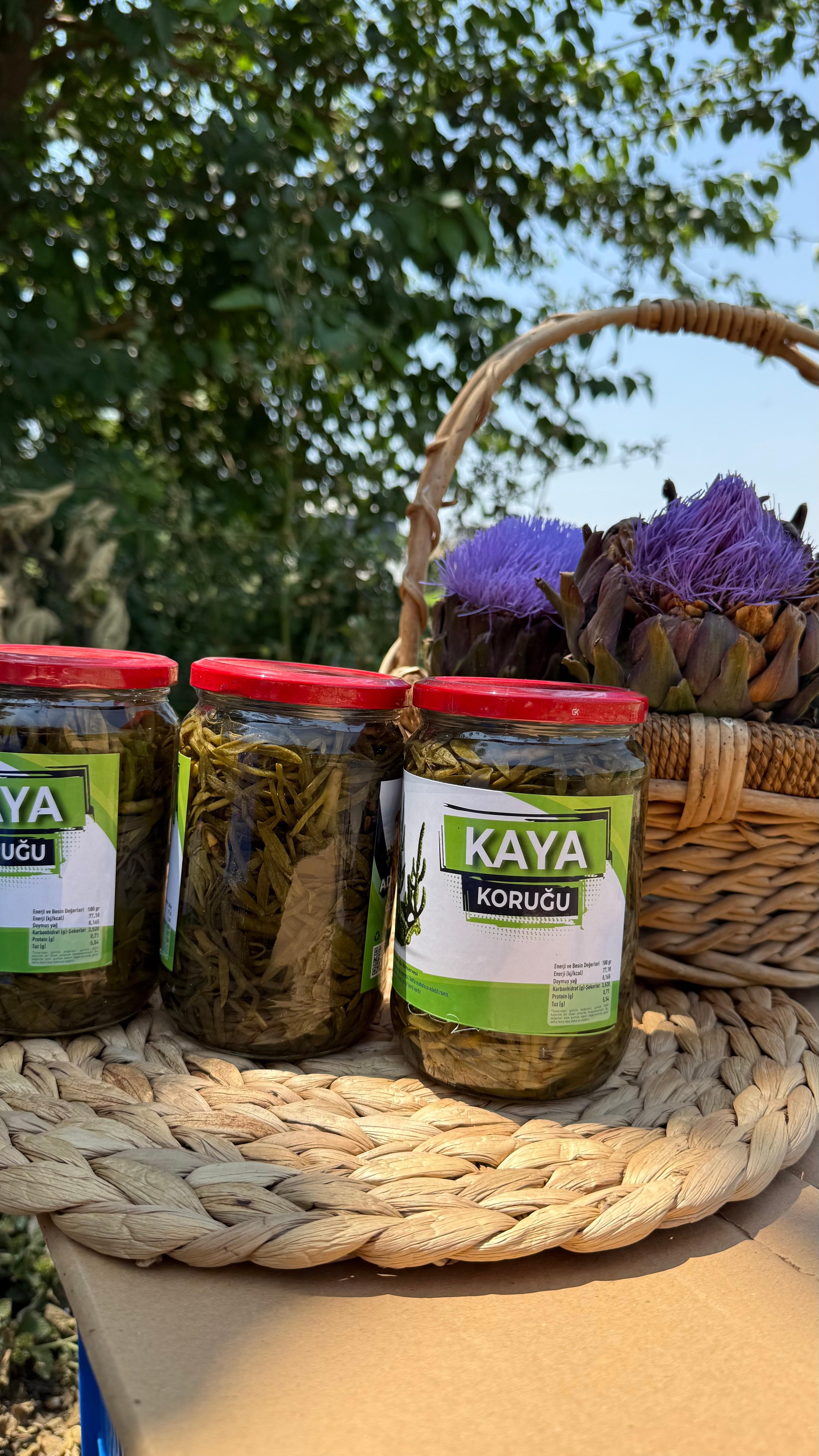 Kaya Koruğu Konservesi