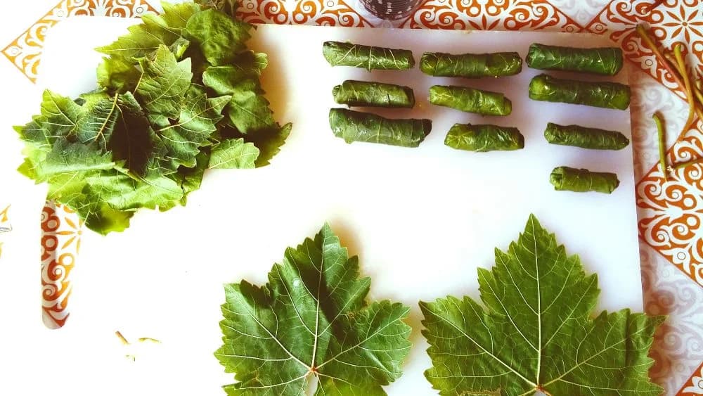 Asma yaprağı sarma hazırlanırken seçilen yapraklar ve sarım aşaması