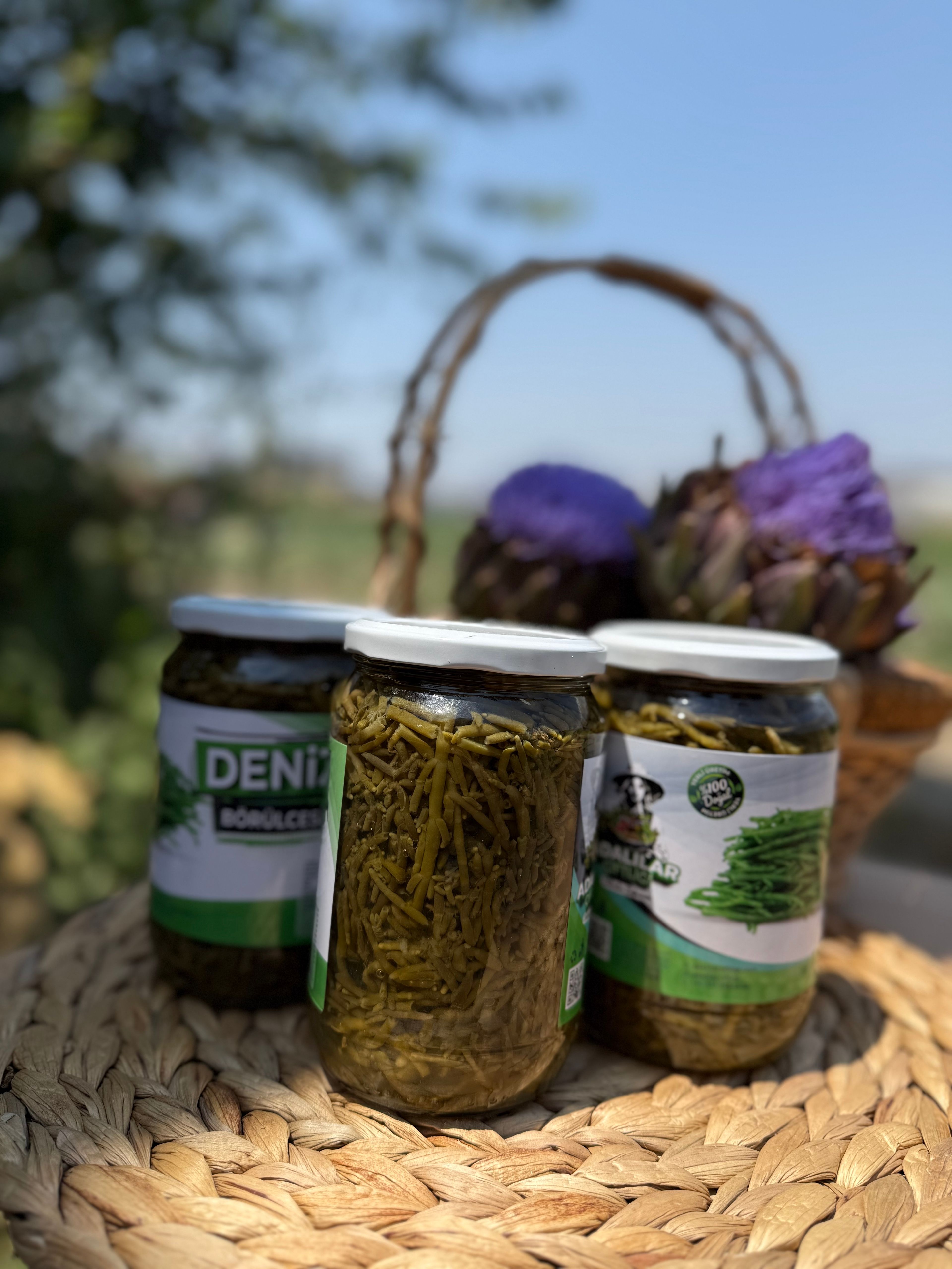 Deniz Börülcesi Konservesi 