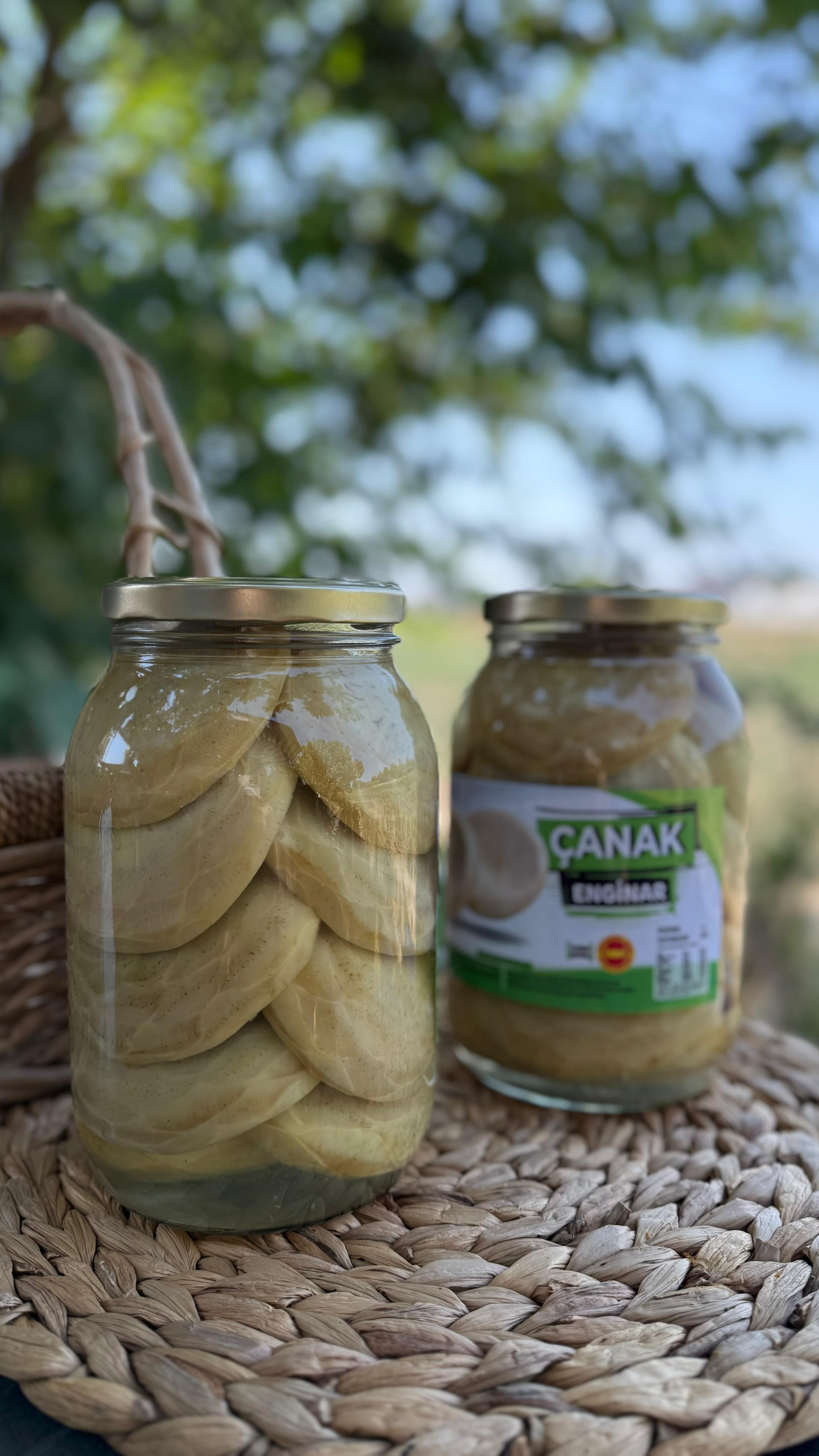 13'lü Çanak Enginar Konservesi | 2000cc