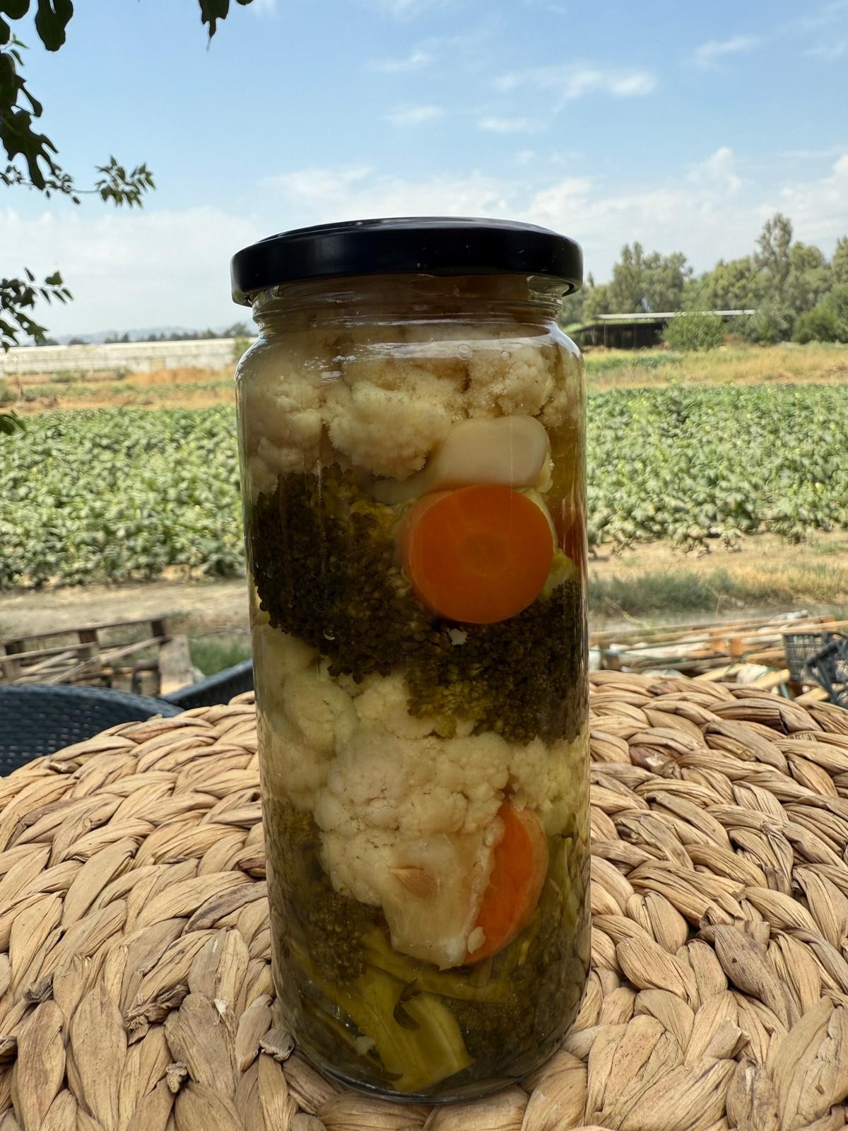 Karışık Turşu