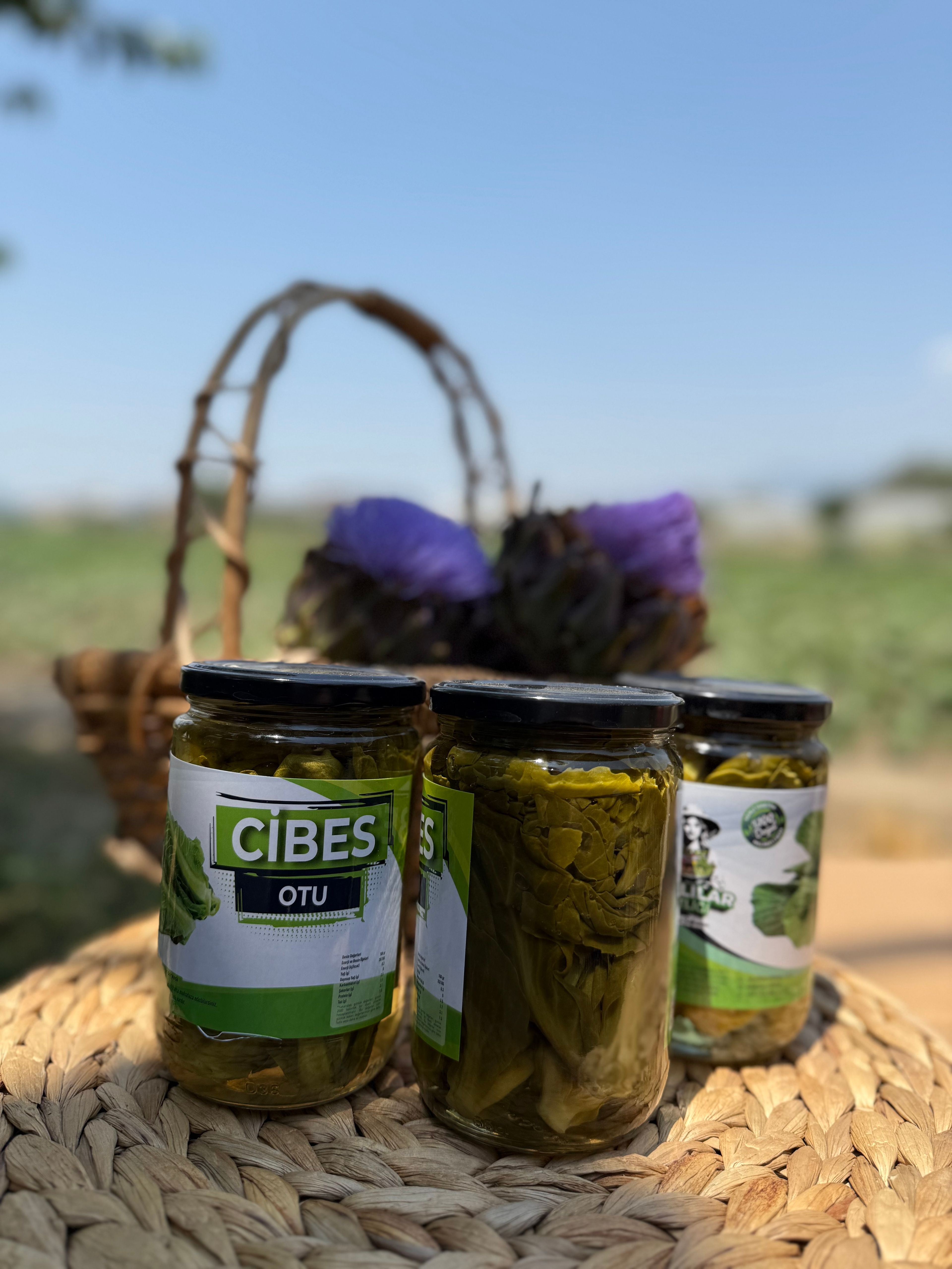 Cibes Otu Konservesi 