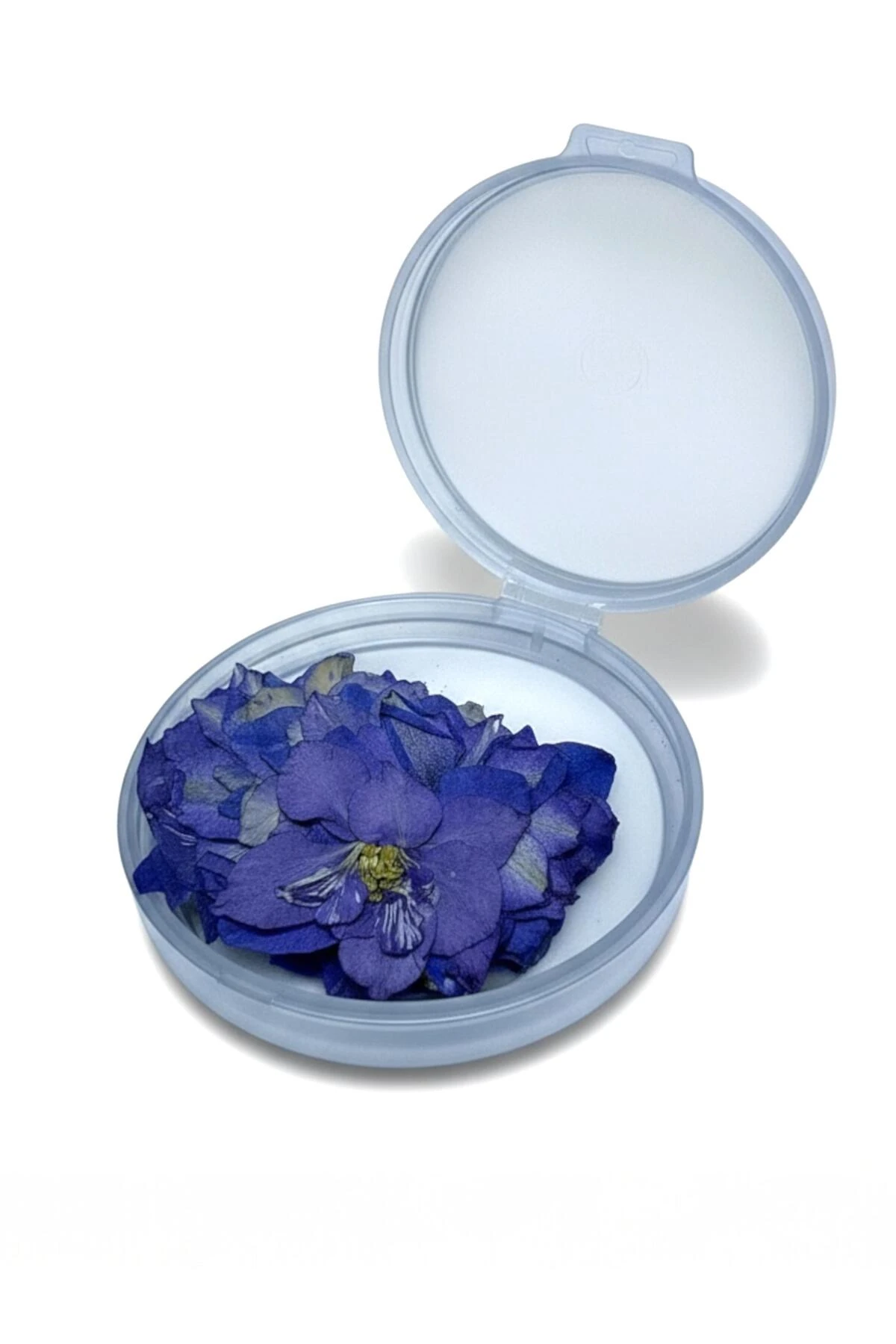 Kurutulmuş Mavi Sakura – 20 Adet