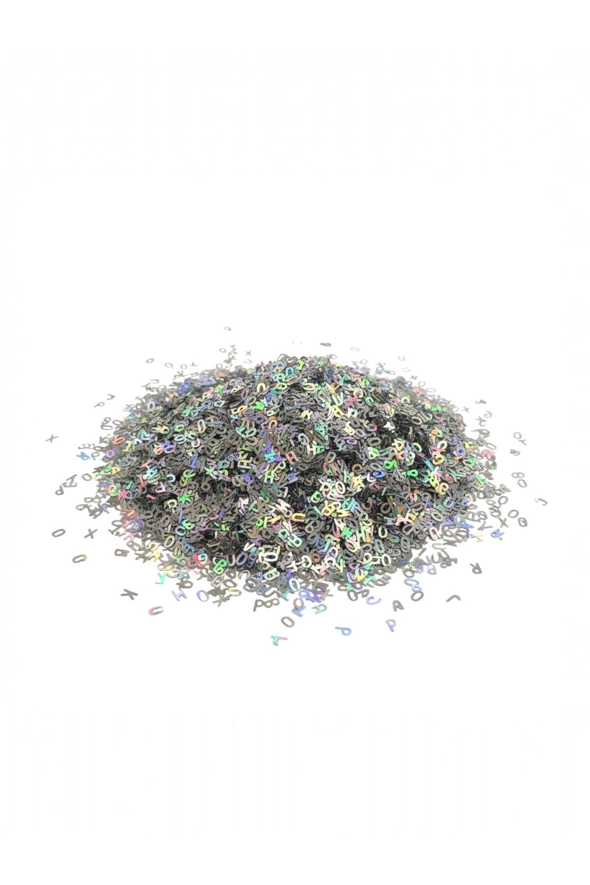 Hologram Gümüş Glitter – 5 gr