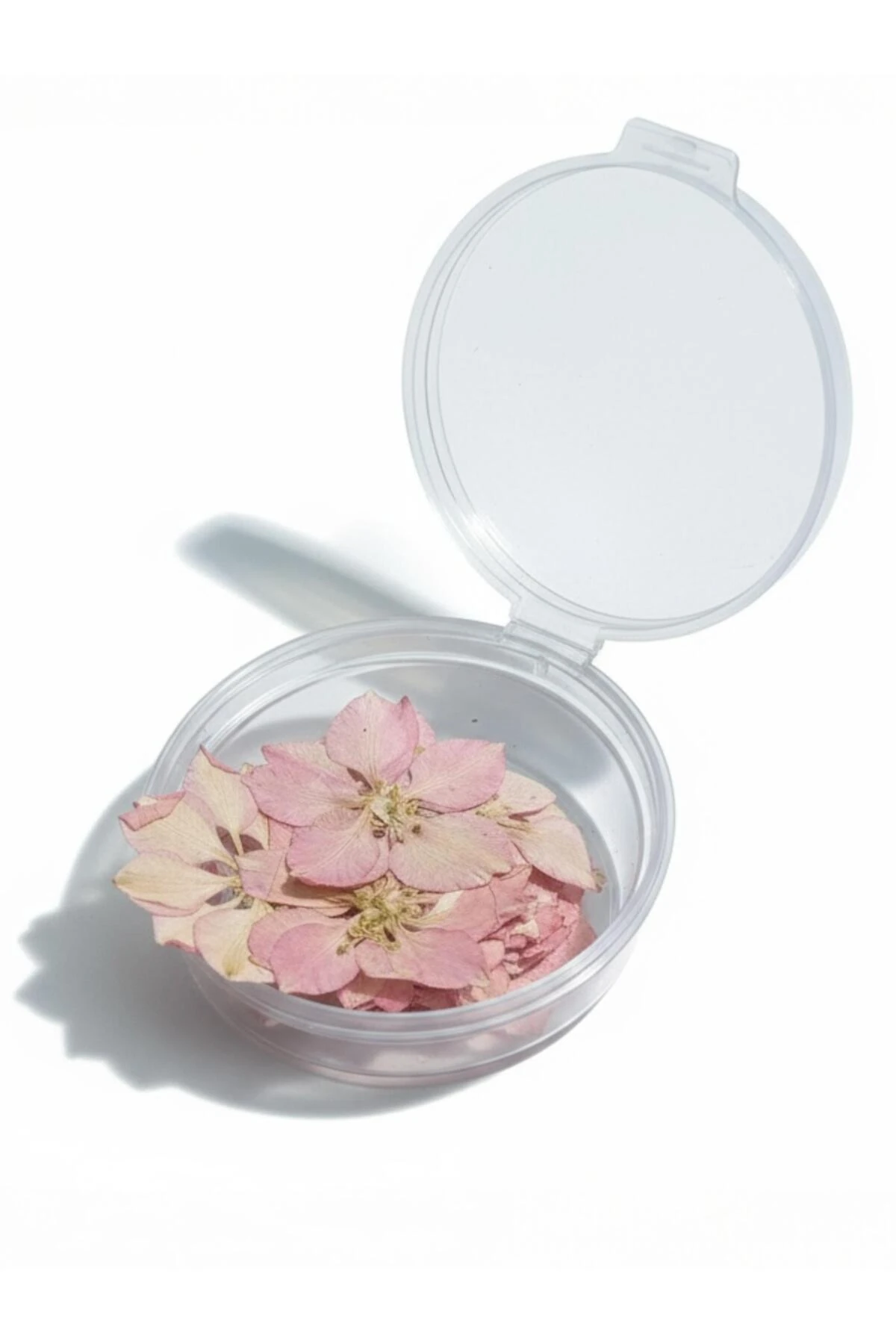 Kurutulmuş Pembe Sakura – 20 Adet