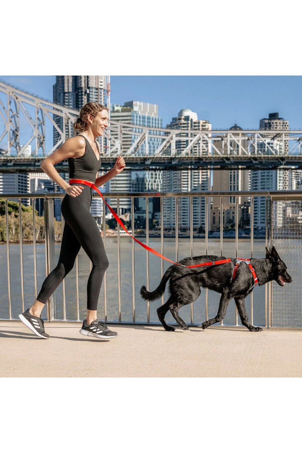Road Runner Leash - Siyah