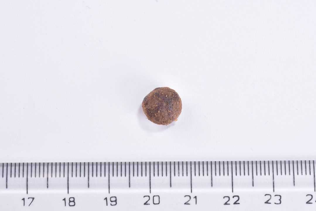 Brit Care Alerjileri Olan Yetişkin Kediler İçin, Tahılsız, Hipoalerjenik, Larva Ve Taze Ringa Balıklı Kuru Mama 2 kg