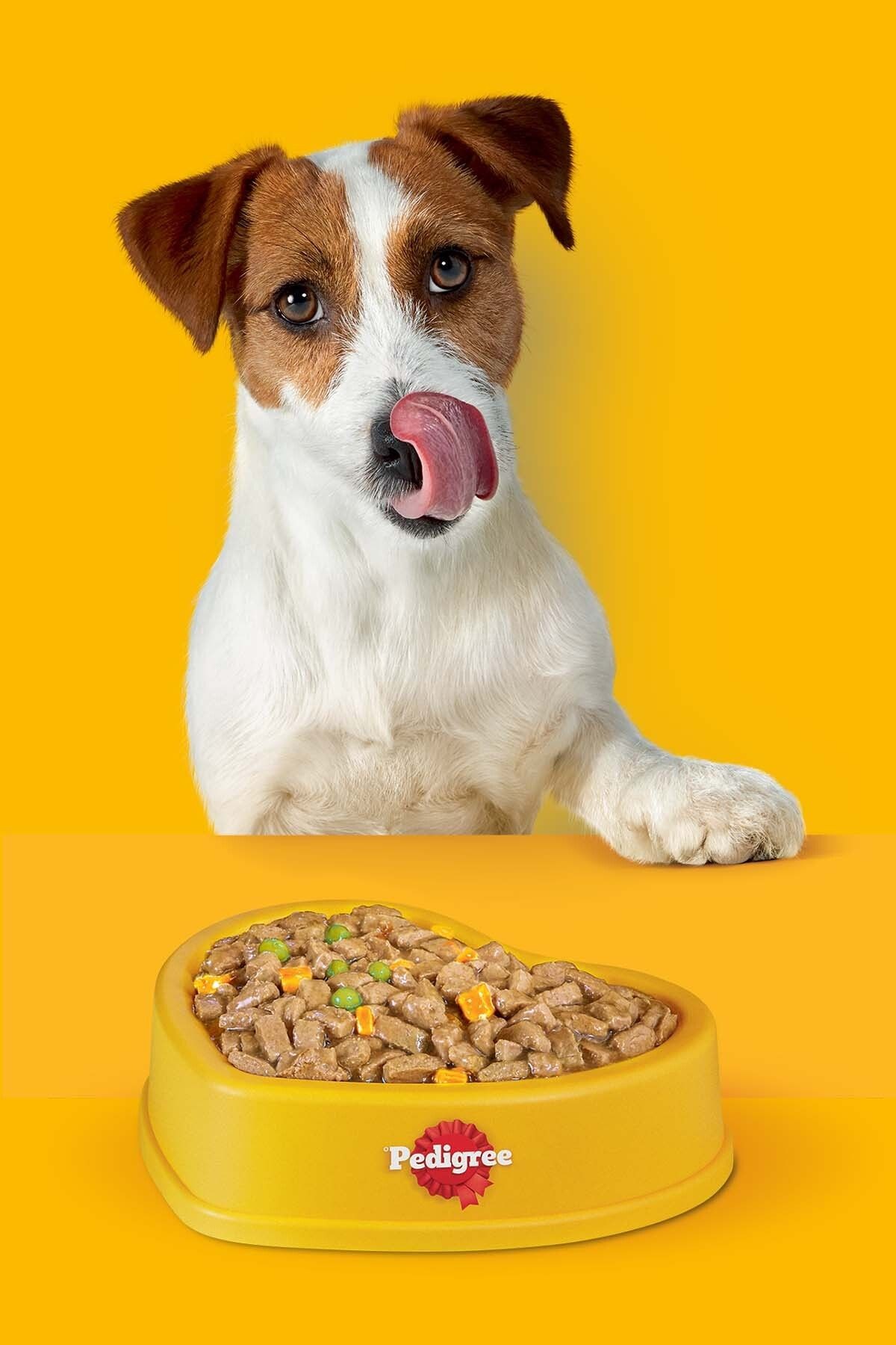 Markies Köpek Ödül Maması 150 Gx5
