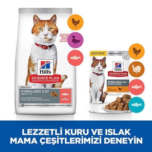 Hill's SP Somonlu Kısırlaştırılmış Yetişkin Kedi Maması 1,5KG