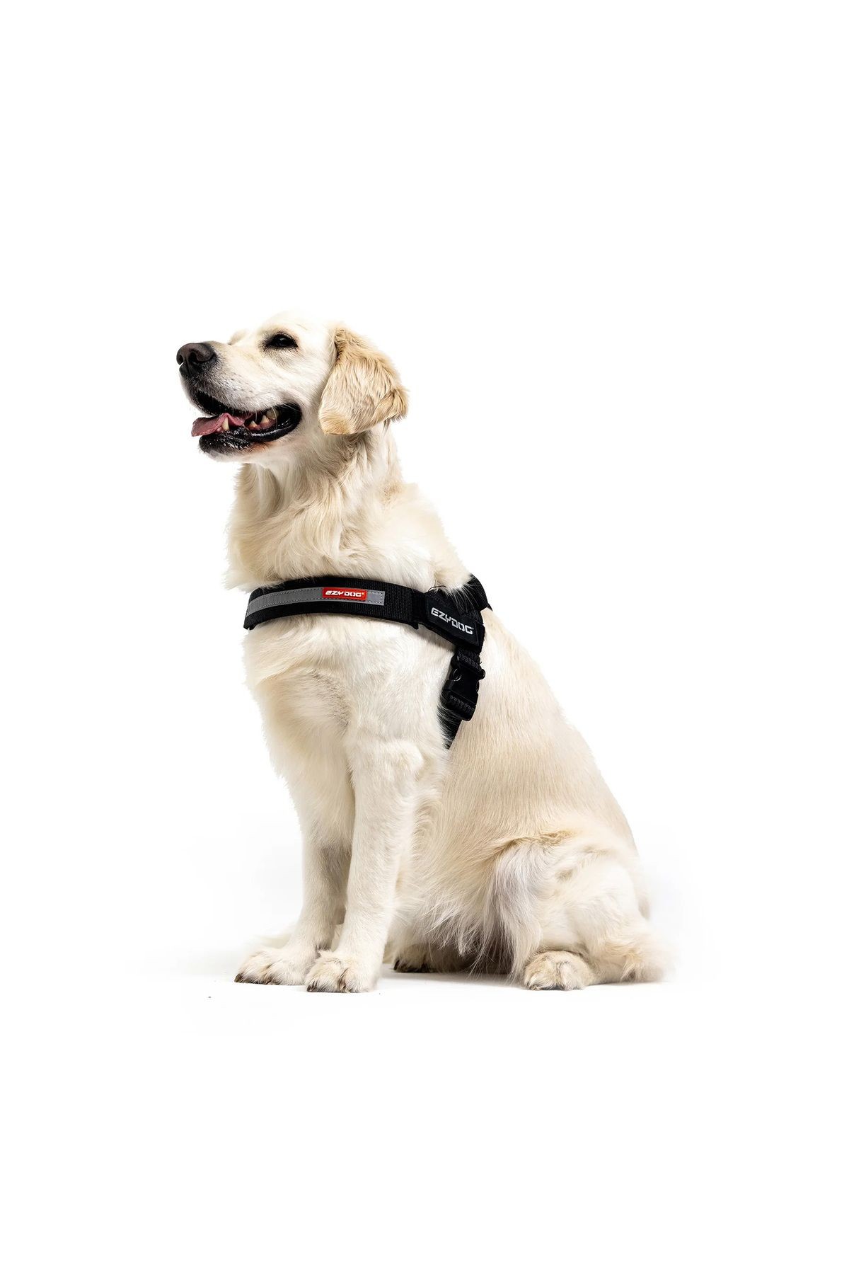 Express Harness