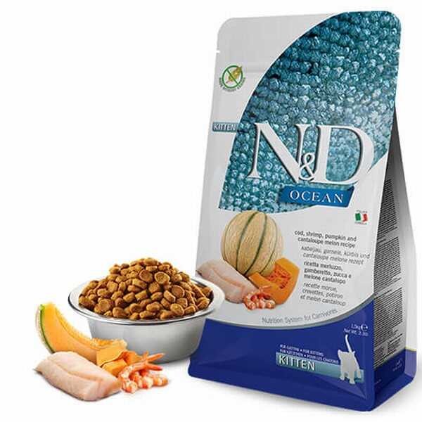 N&D Ocean Morina Balıklı Bal Kabaklı Karidesli ve Kavunlu Tahılsız Yavru Kedi Maması 1,5kg