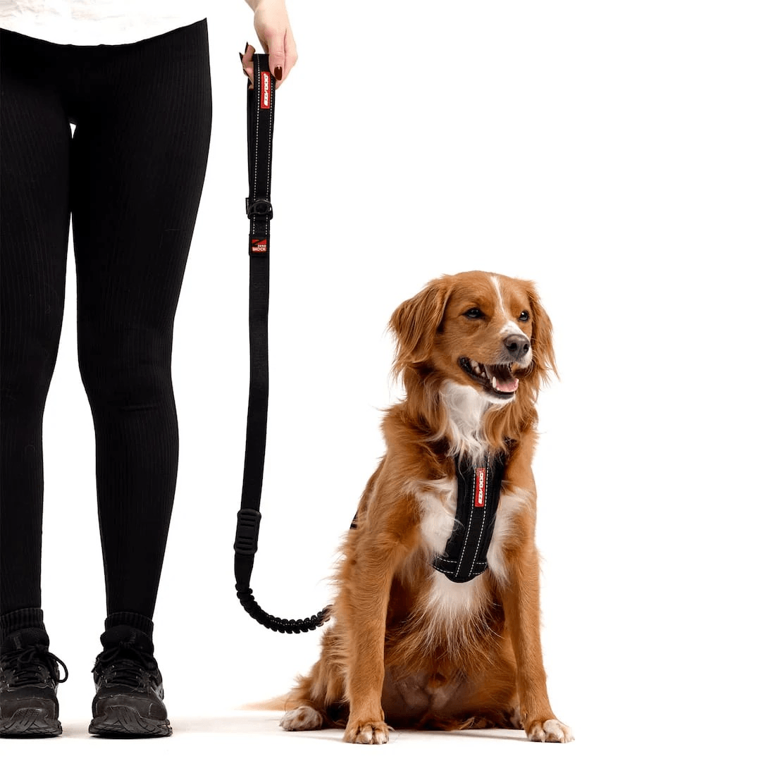 Leash Zero Shock Black (122cm)