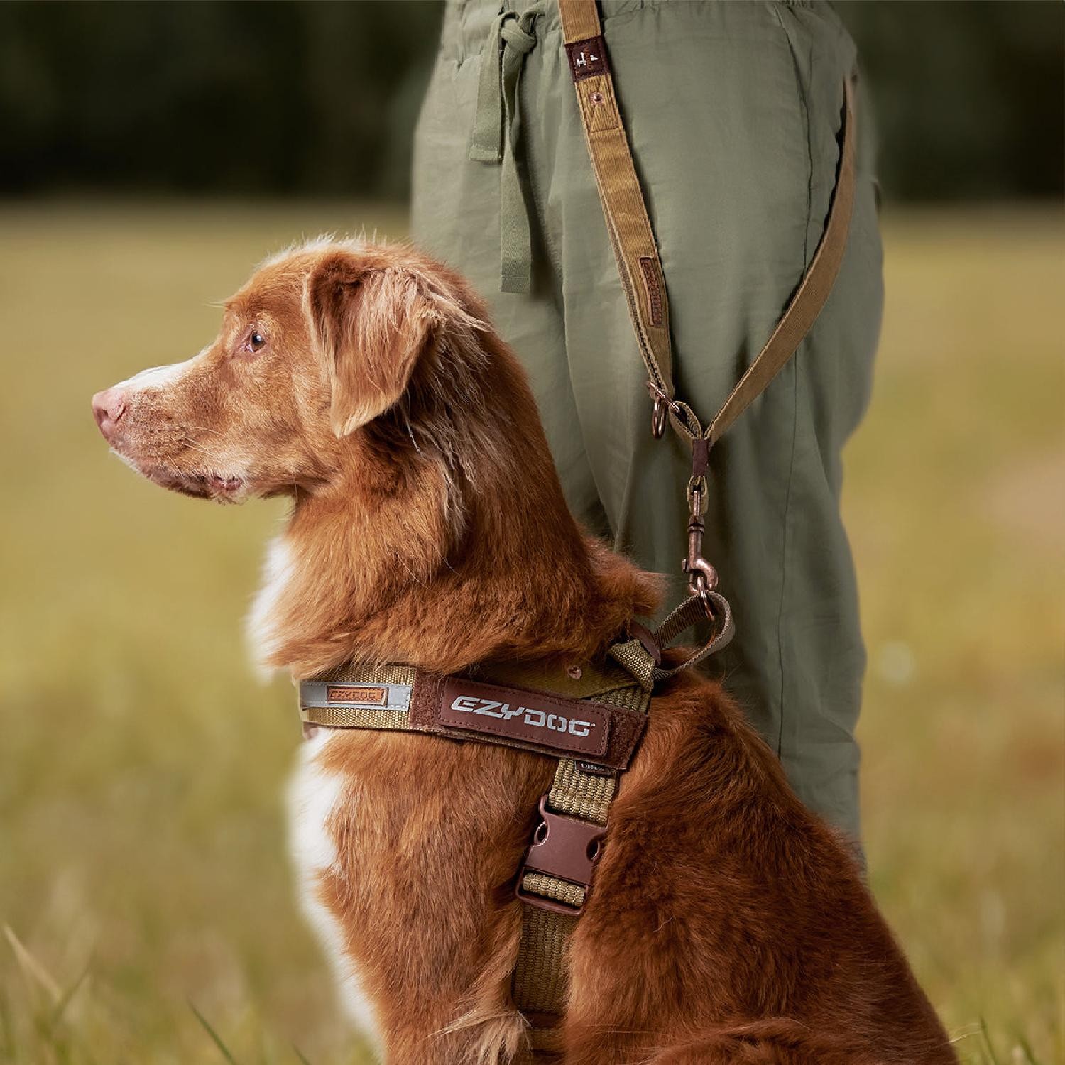 Ezydog Vario 4 Çok Yönlü Köpek Gezdirme Kayışı - Pembe