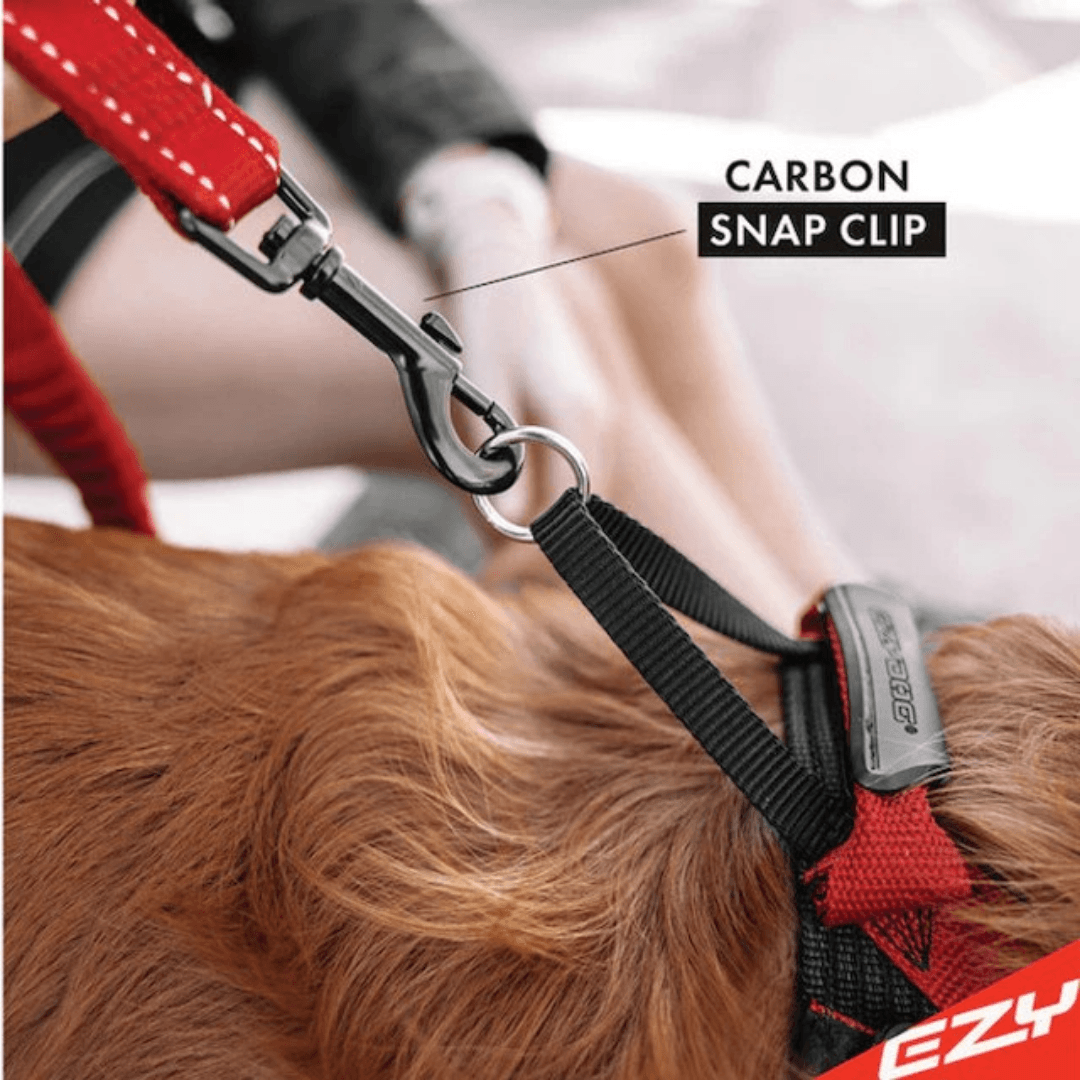 Leash Zero Shock Black (122cm)