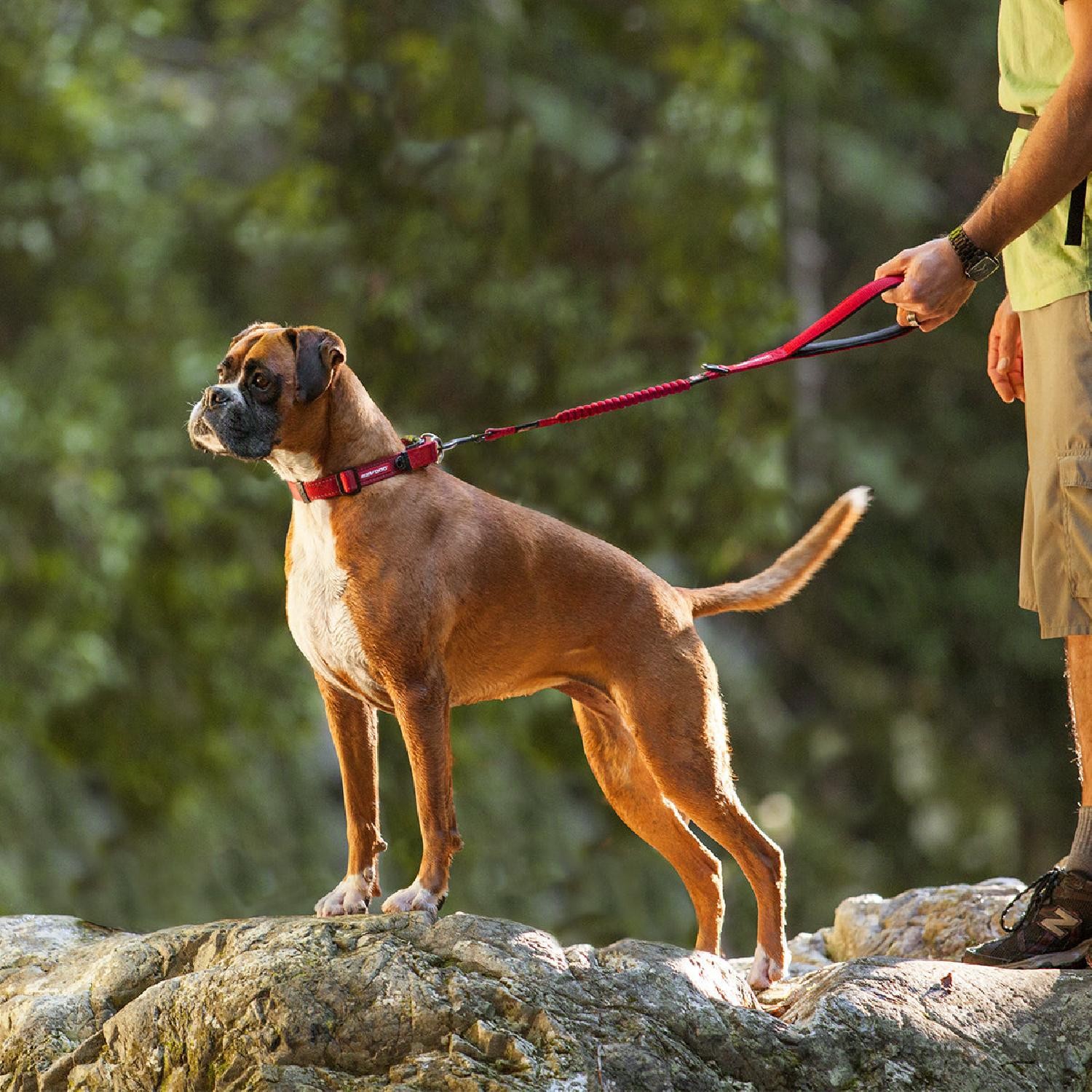 Ezydog Zero Shock 40 Şok Absorbe Edici Köpek Kayışı - Kırmızı