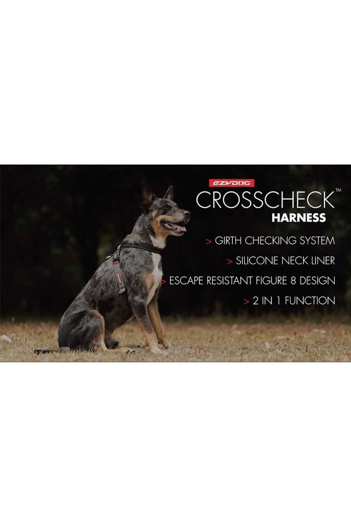 Crosscheck Lh Harness - Siyah