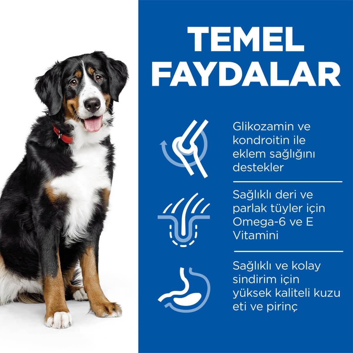Hill's SP Kuzulu ve Pirinçli Büyük Irk Yetişkin Köpek Maması 14KG